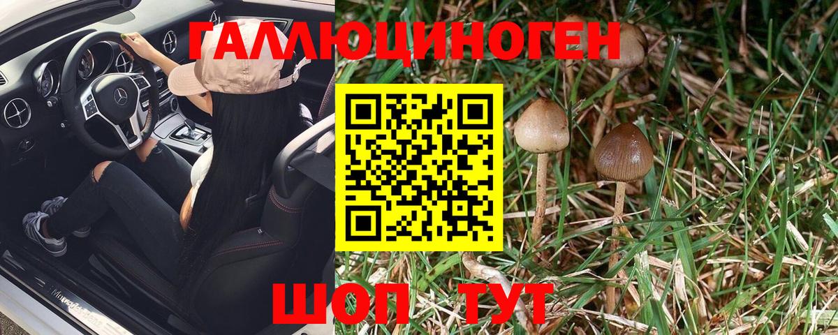 Галлюциногенные грибы Magic Shrooms Отрадный