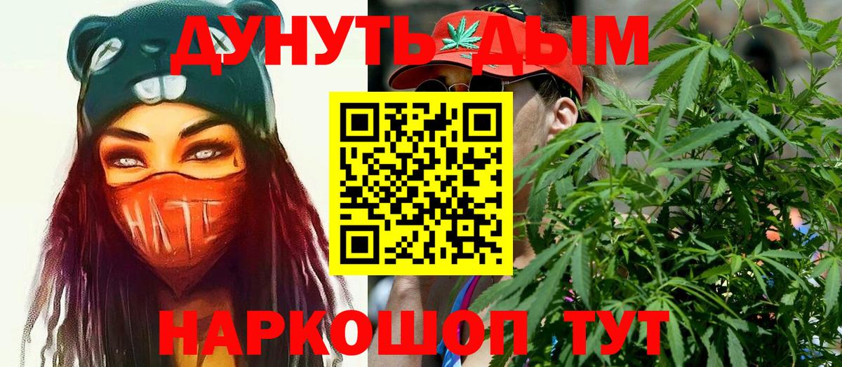 Конопля сатива Отрадный